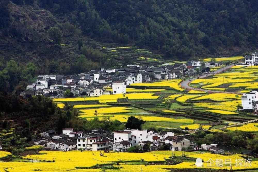 江西印象,大学生活之旅回忆录