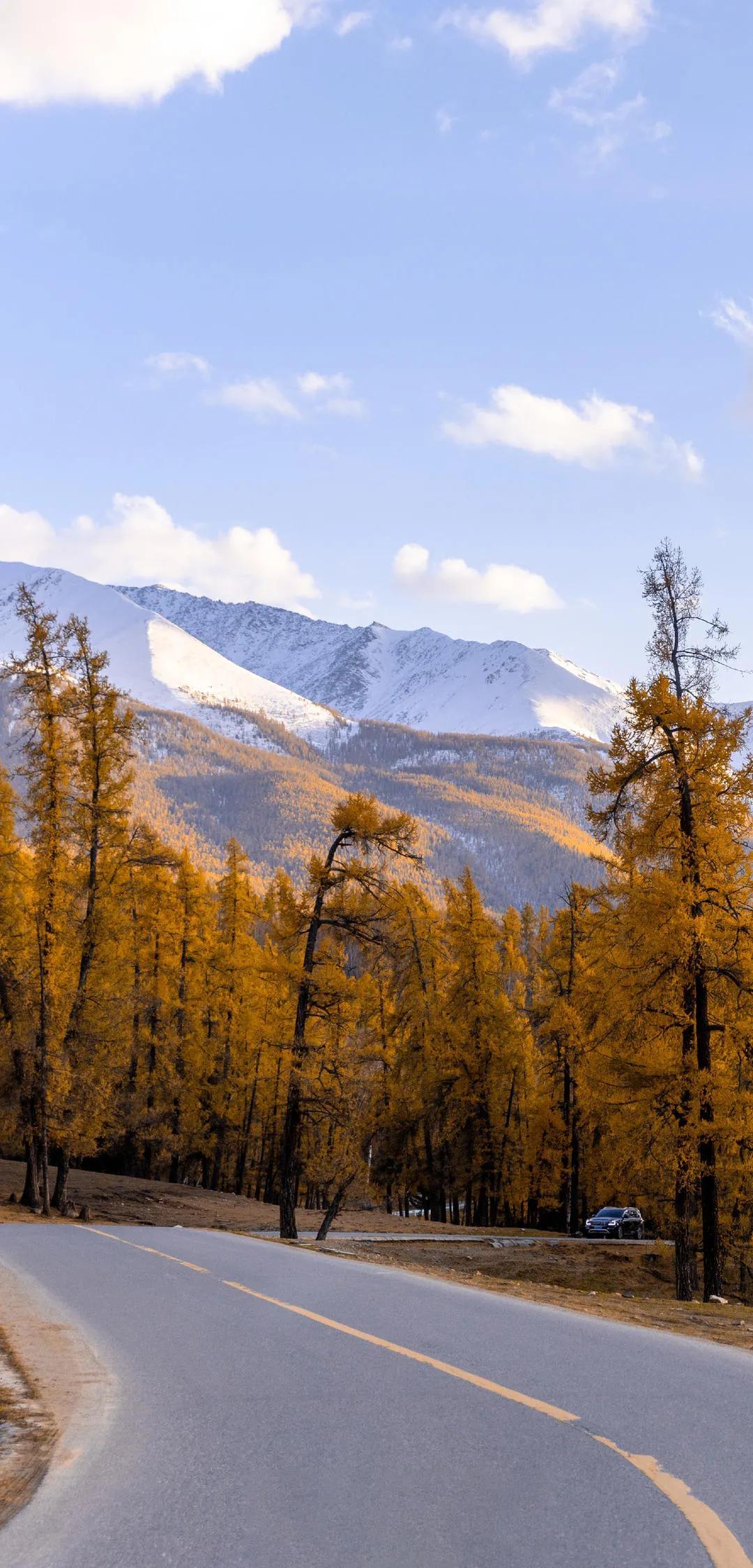 新疆,向尊敬的听众朋友们致意