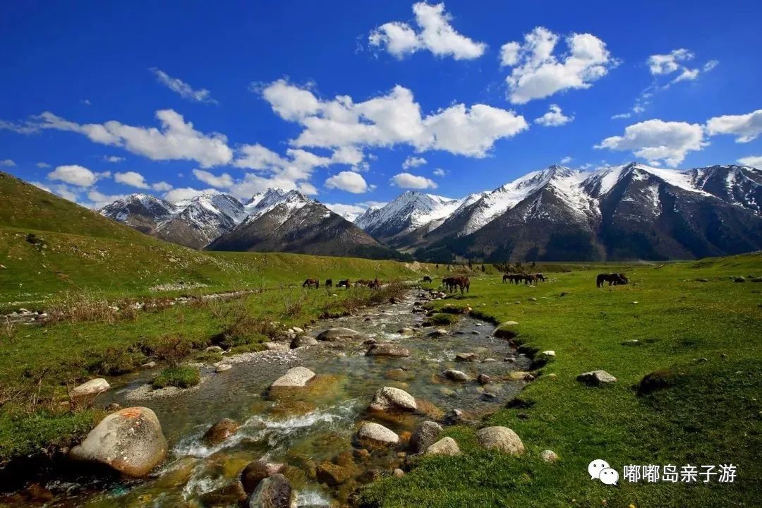 新疆智领未来，高科技产品重塑生活新纪元