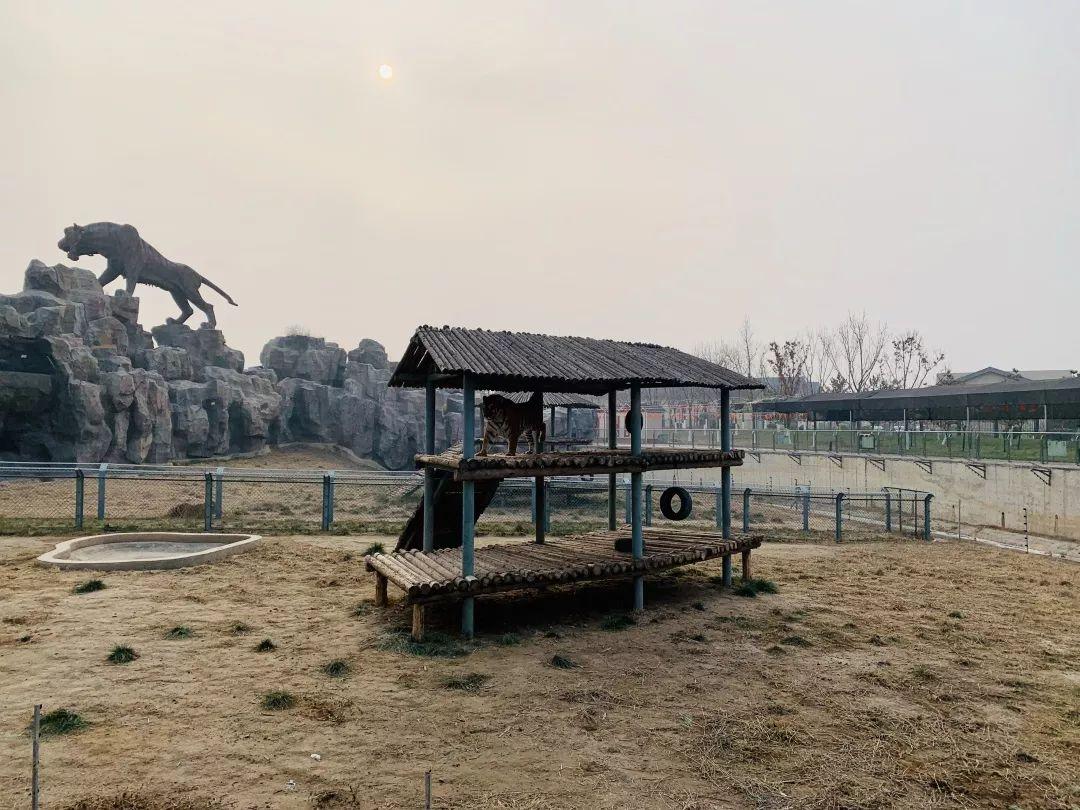 沧州古韵寻梦记