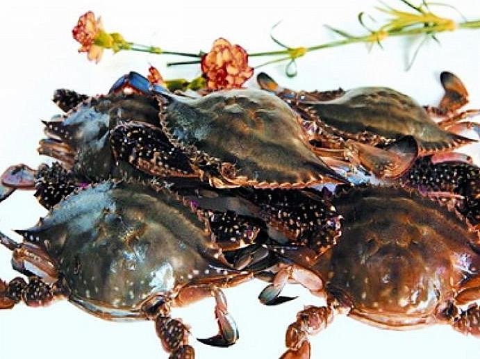 大连，活力四溢的海滨城市